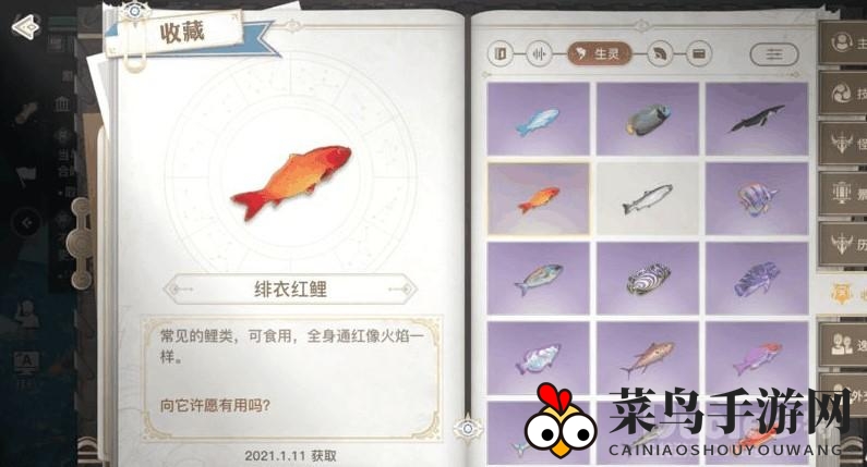 《天谕》手游新秘境：揭秘汐愿之海小丑鱼奇遇，探索神秘生命之能宝藏