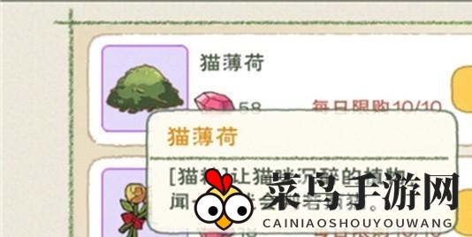 《小森生活》猫薄荷秘境探秘：轻松解锁猫咪美食之旅