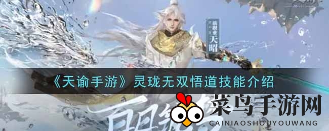 《天谕》奇幻之旅，揭秘灵珑无双悟道职业技能秘境