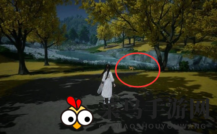 《射雕》无定坊猛兽献宝位置攻略