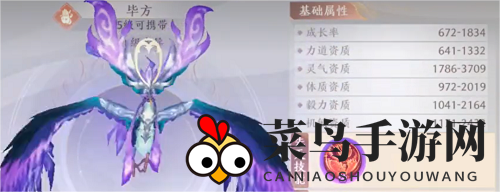 《天龙八部2：飞龙战天》毕方技能选择攻略