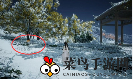 《射雕》无定坊猛兽献宝位置攻略