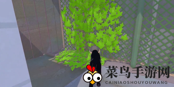 《小猫咪大城市》日常美容动作获取方法