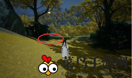 《射雕》无定坊猛兽献宝位置攻略