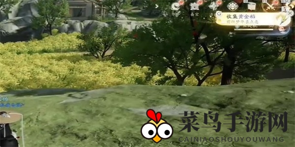 《射雕》黄金稻寻宝攻略