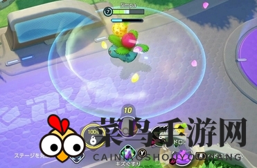 《宝可梦大集结》妙蛙花道具搭配