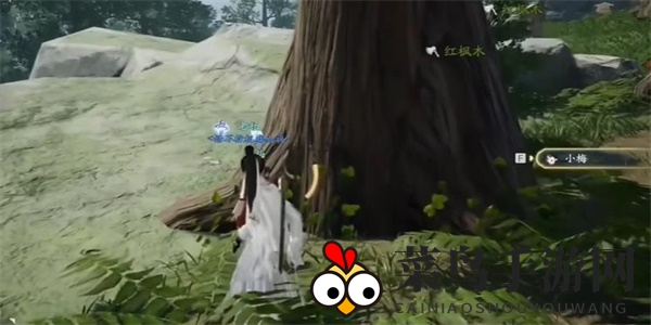 《射雕》红尘戏听风听水成就达成攻略