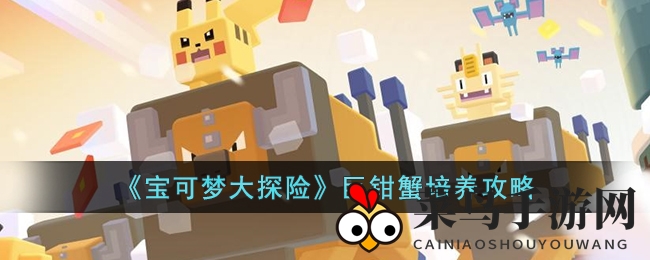 《宝可梦探险寻宝》巨钳蟹养成秘籍大揭秘：技能解析与宾果道具推荐