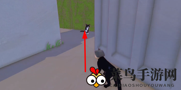 《小猫咪大城市》日常美容动作获取方法