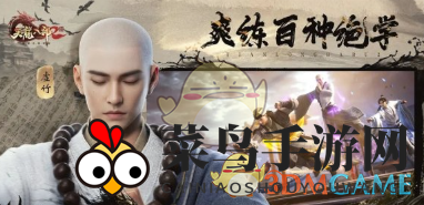 《天龙八部2飞龙战天》武魂奥秘详解