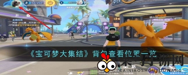 《宝可梦大集结》宝藏探险，解锁神秘背包宝藏库攻略大揭秘