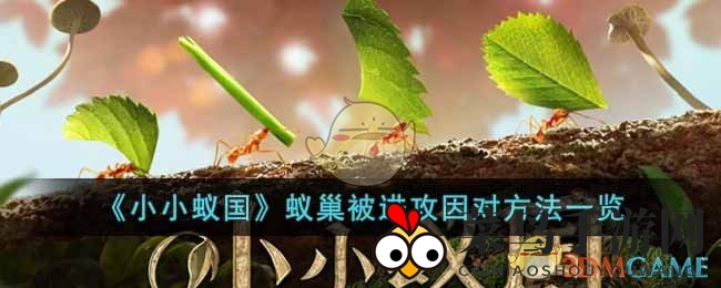 《小小蚁国》蚁巢遭遇危机，揭秘如何巧妙应对敌军突袭攻略