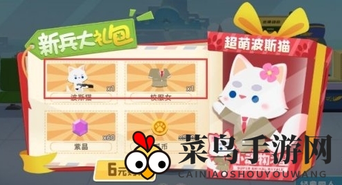 《小动物之星》波斯猫获取揭秘