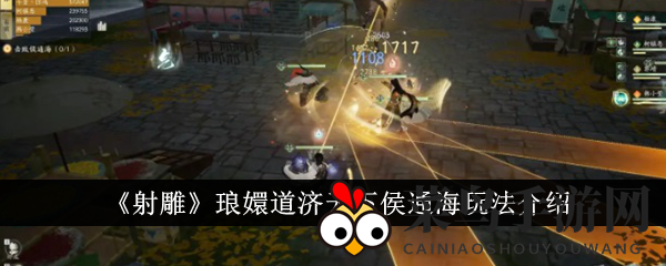 《射雕》神秘新境界：琅嬛道济天下侯通海攻略全解密，轻松闯关指南大公开