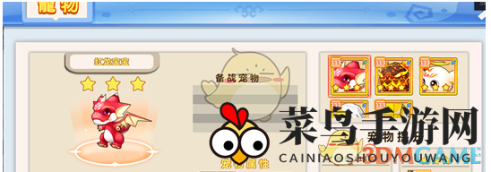 《小小急速跑》宠物成长攻略