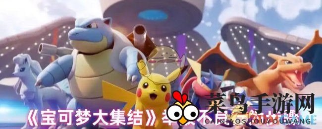 《宝可梦大集结》揭秘高效举报技巧，轻松应对作弊，共建绿色竞技天地