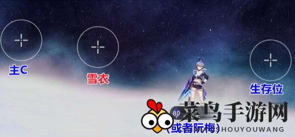《崩坏：星穹铁道》雪衣配队推荐
