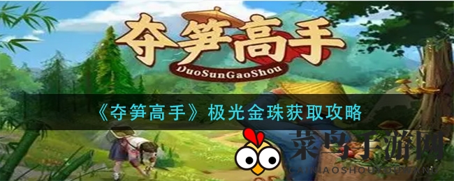 《夺笋高手》神秘极光金珠寻宝攻略：探险寻珠，揭秘宝藏获取奥秘