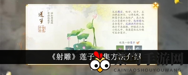 《射雕》寻宝攻略：智慧对话解锁莲子宝藏之旅