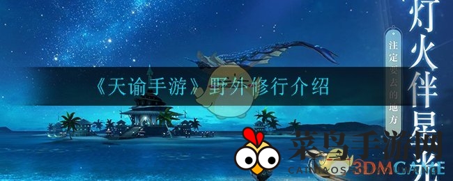 《天谕手游》野外修行攻略：轻松挂机，探秘稀世装备掉落