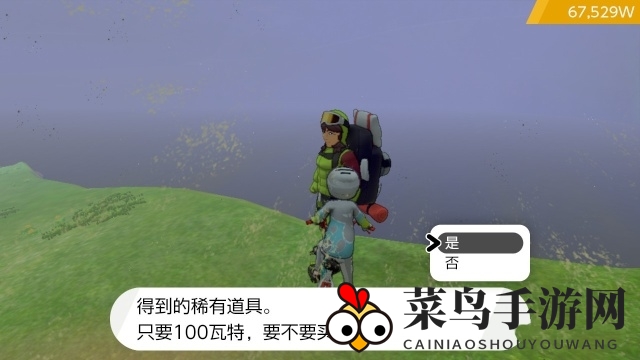 《宝可梦剑盾》等级玩法攻略介绍