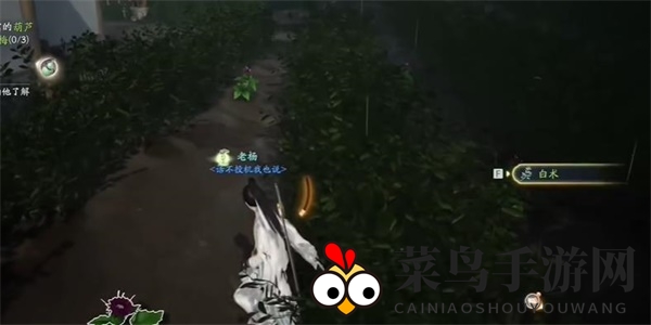 《射雕》白术收集攻略