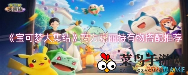 《宝可梦集结》战场奇才玛力露：解锁最强装备秘籍，战力飙升！