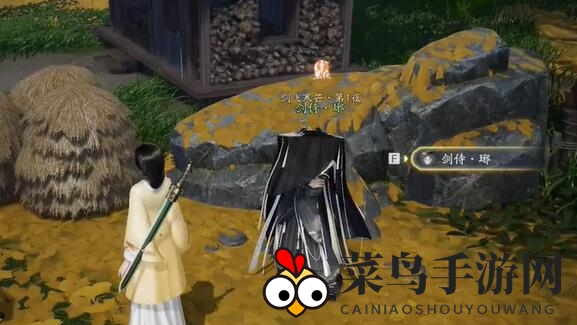 《射雕》无定坊剑侍位置一览