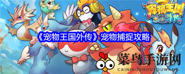 《宠物王国外传》捕获攻略全解析：掌握秘籍，轻松升级五星宠物