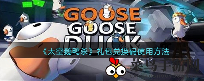 《太空鹅鸭杀》礼包解锁秘籍：解密兑换码获取宝藏攻略