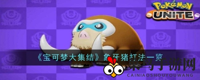 《宝可梦集结》象牙猪攻略：技能搭配详解，团战制胜秘籍