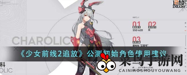 《少女前线2追放》战力提升秘笈：解锁新手英雄成长之道