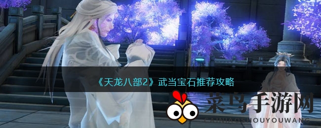 《天龙八部2》宝石镶嵌全攻略：揭秘武当侠士属性提升秘籍