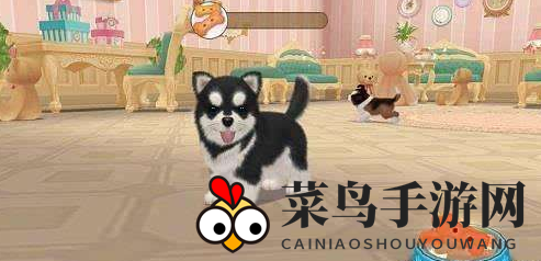 《小汪汪》入门技巧详解