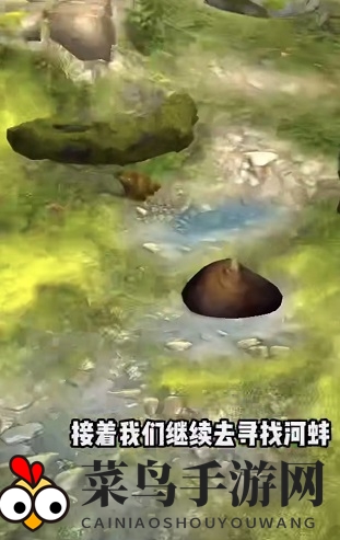 《夺笋高手》极光金珠获取攻略