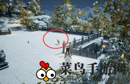 《射雕》无定坊猛兽献宝位置攻略