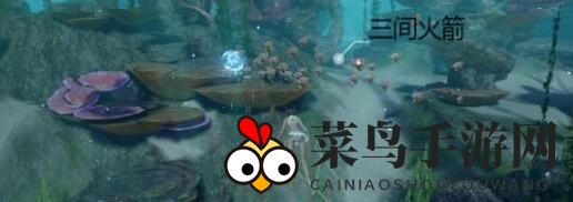 《天谕手游》神秘火箭寻宝图示