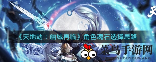 《天地劫：幽城再临》魂石搭配全解析，角色定位秘籍大公开！