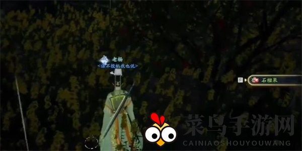 《射雕》安石榴获取攻略一览