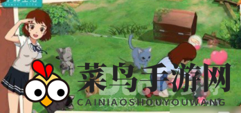 《小森生活》宝藏攻略：揭秘龟壳搜集，海岛探险之旅