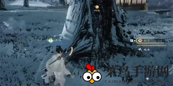《射雕》松木收集攻略