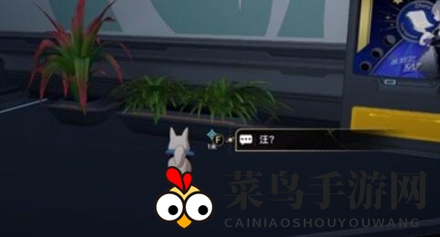 《崩坏：星穹铁道》开局一人一狗其三流程攻略