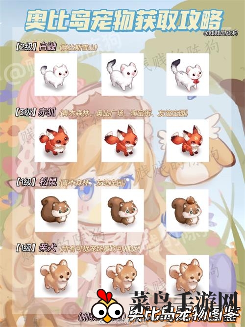 《奥比岛手游》宠物获取大全