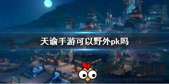 《天谕手游》野外PK玩法揭秘：公平竞技，技能畅爽，开启冒险之旅