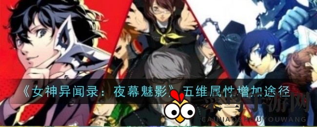 《女神异闻录：夜幕魅影》五大属性提升攻略曝光，泡澡打工观影助战力大增