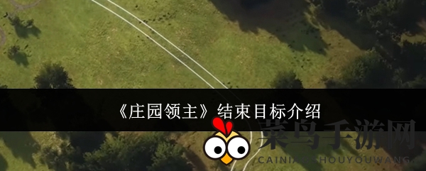 《庄园领主》征服秘籍：全域霸业，畅享无尽领土征服之旅