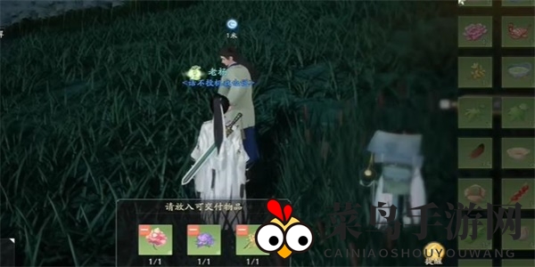 《射雕》海石榴花木雕收集攻略