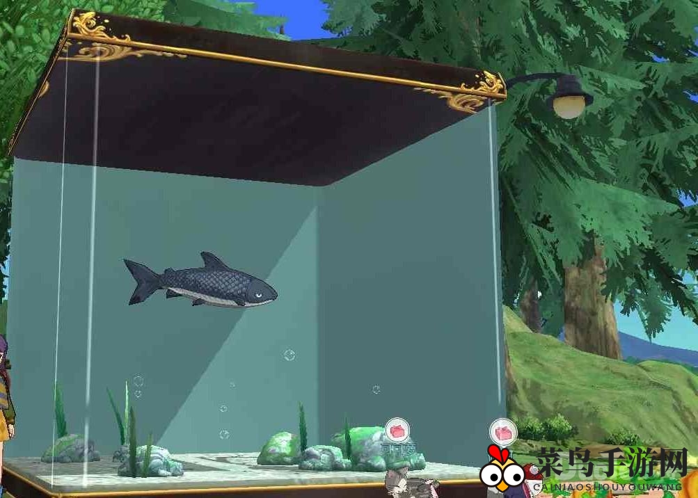 《小森生活》钓鱼攻略：轻松捕获鱼王，解锁财富与观赏新境界