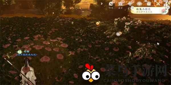《射雕》木槿花收集攻略