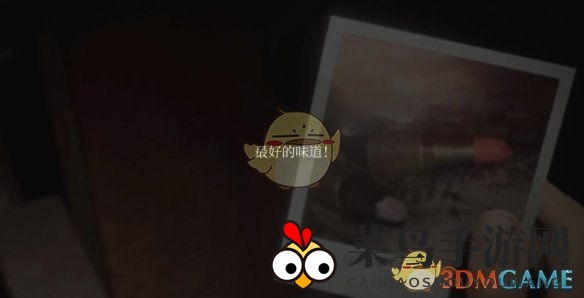 《寂静岭2重制版》奇照寻踪指南